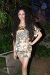 Pallu Tamil Movie Audio Launch - 30 of 54
