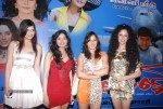 Pallu Tamil Movie Audio Launch - 33 of 54