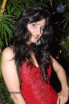 Pallu Tamil Movie Audio Launch - 44 of 54