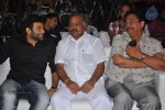 Palnadu Movie Audio Launch 01 - 1 of 87