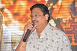 Palnadu Movie Audio Launch 01 - 23 of 87