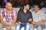 Palnadu Movie Audio Launch 01 - 27 of 87