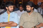 Palnadu Movie Audio Launch 01 - 36 of 87