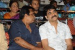 Panchakshari Movie Audio Release Stills - 244 of 256