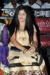 Panchamukhi Movie Audio Launch - 44 of 90