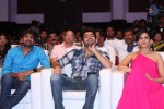 Pandaga Chesko Audio Launch 02 - 17 of 128