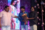 Pandaga Chesko Audio Launch 02 - 18 of 128