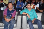 Pandaga Chesko Audio Launch 03 - 25 of 157