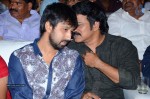 Pandaga Chesko Audio Launch 03 - 89 of 157