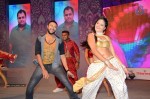Pandaga Chesko Audio Launch 03 - 141 of 157