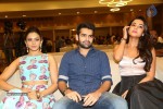 Pandaga Chesko Movie Success Meet - 5 of 133