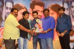 Pandaga Chesko Movie Success Meet - 10 of 133