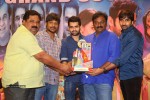 Pandaga Chesko Movie Success Meet - 15 of 133