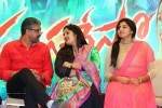 Pandaga Chesko Movie Success Meet - 22 of 133