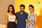 Pandaga Chesko Movie Success Meet - 35 of 133