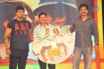 Pandavulu Pandavulu Tummeda Audio Launch 03 - 57 of 137
