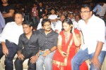 Panjaa Movie Audio Launch Set 3 - 33 of 113