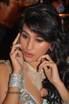 Panjaa Movie Audio Launch Set 3 - 63 of 113