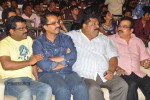 Panjaa Movie Audio Launch Set 3 - 104 of 113