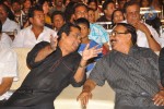 Panjaa Movie Audio Launch Set 4 - 143 of 133