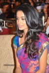 Panjaa Movie Audio Launch Set 4 - 71 of 133