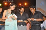 Panjaa Movie Audio Launch Set 5 - 22 of 94