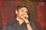 Panjaa Movie Audio Launch Set 5 - 7 of 94