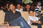 Panjaa Movie Audio Launch Set 5 - 33 of 94