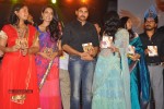 Panjaa Movie Audio Launch Set 5 - 47 of 94