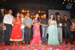 Panjaa Movie Audio Launch Set 5 - 48 of 94