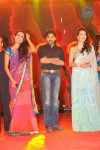 Panjaa Movie Audio Launch Set 5 - 50 of 94