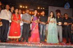 Panjaa Movie Audio Launch Set 5 - 51 of 94