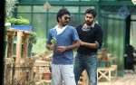 Panjaa Movie New Working Stills - 2 of 22