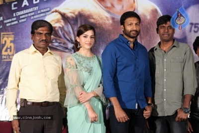 Pantham Trailer Launch Set 2 - 12 of 21