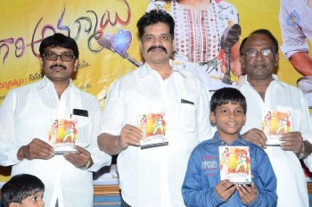 Panthulu Gaari Ammayi Audio Launch - 17 of 19