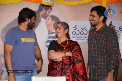 Paper Boy Movie Success Meet - 7 of 19