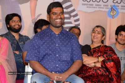 Paper Boy Movie Success Meet - 14 of 19