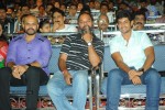 Pavitra Movie Audio Launch 02 - 2 of 160