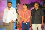 Pavitra Movie Audio Launch 02 - 4 of 160