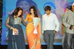 Pavitra Movie Audio Launch 02 - 21 of 160
