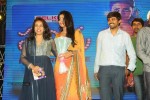 Pavitra Movie Audio Launch 02 - 63 of 160