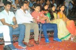 Pavitra Movie Audio Launch 02 - 126 of 160