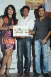 Photographer G Venket Ram 2012 Star Calendar Launch - 38 of 70