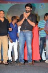 Pilla Nuvvuleni Jeevitham Audio Success Meet - 7 of 280