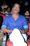 Pilla Nuvvuleni Jeevitham Audio Success Meet - 61 of 280