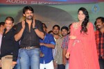 Pilla Nuvvuleni Jeevitham Audio Success Meet - 216 of 280