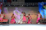 Pilla Nuvvuleni Jeevitham Audio Success Meet - 220 of 280
