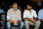 Pilla Nuvvuleni Jeevitham Success Meet 01 - 37 of 102