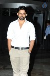 Pilla Nuvvuleni Jeevitham Success Meet 01 - 96 of 102