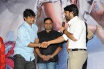 Pilla Nuvvuleni Jeevitham Success Meet 02 - 20 of 95